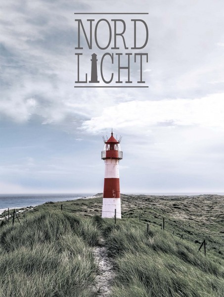 Leinwandbild - Motiv: Nordlicht - 61 x 46cm