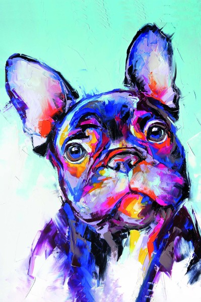 Leinwandbild - Motiv: Bulldogge - 60 x 90cm