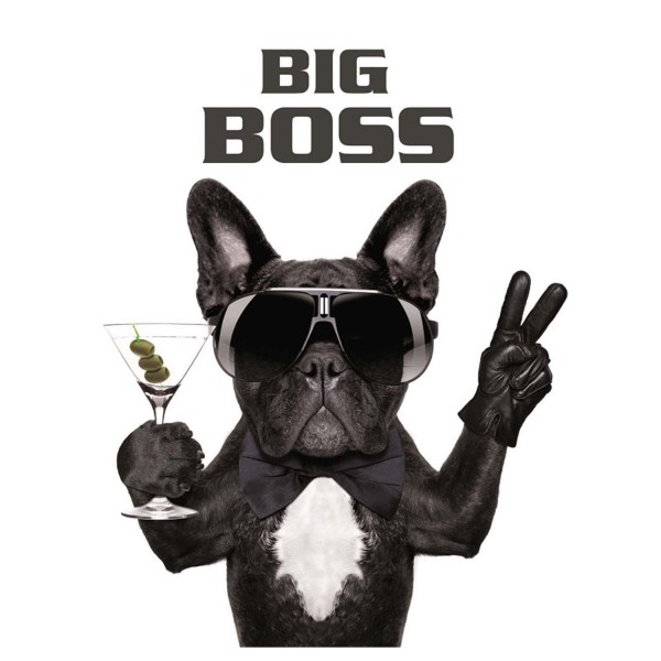 Leinwandbild - Motiv: Big Boss Mops - 61 x 46cm