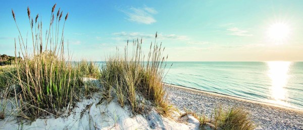 Leinwandbild - Motiv: Dünen, Strand & Meer - 60 x 140cm