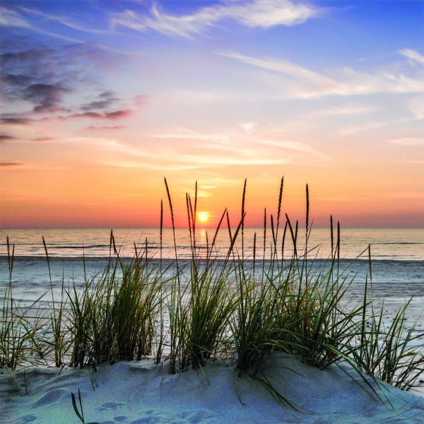 Leinwandbild - Strand bei Sonnenuntergang - 35 x 35cm