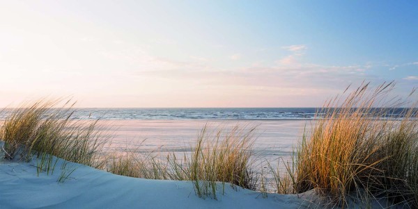 Leinwandbild - Motiv: Düne - 50 x 100cm