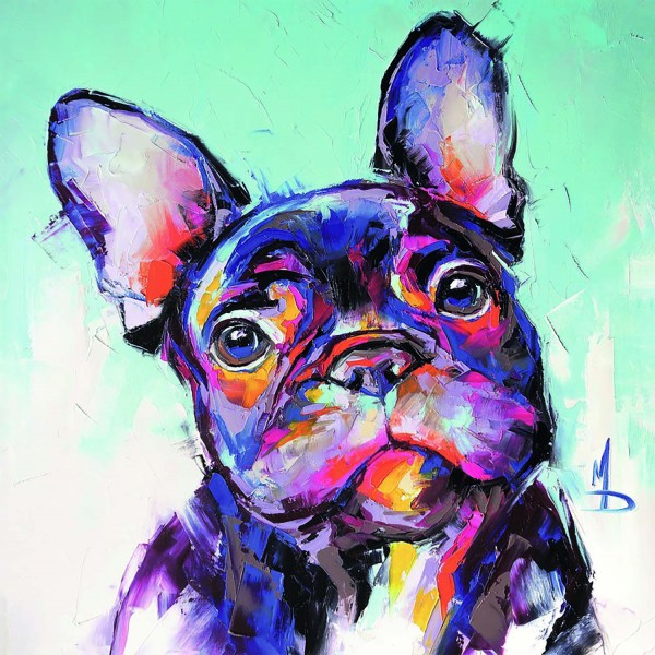 Leinwandbild - Motiv: Bunter Hund - 35 x 35cm