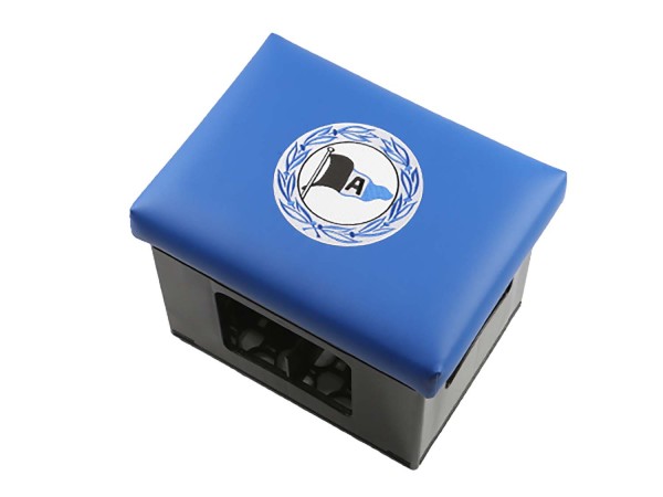 Bierkisten Sitzkissen - DSC Arminia Bielefeld Blau