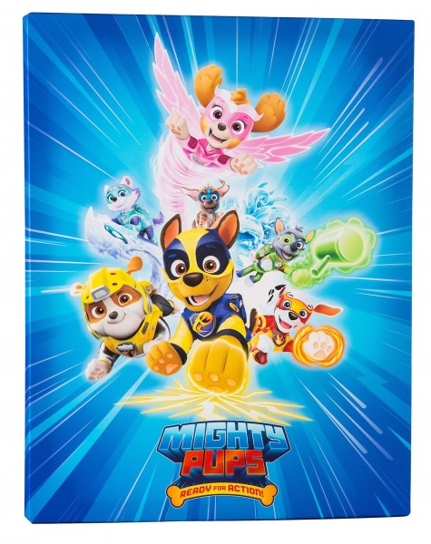 Leinwandbild - Motiv: Paw Patrol - 61 x 46cm