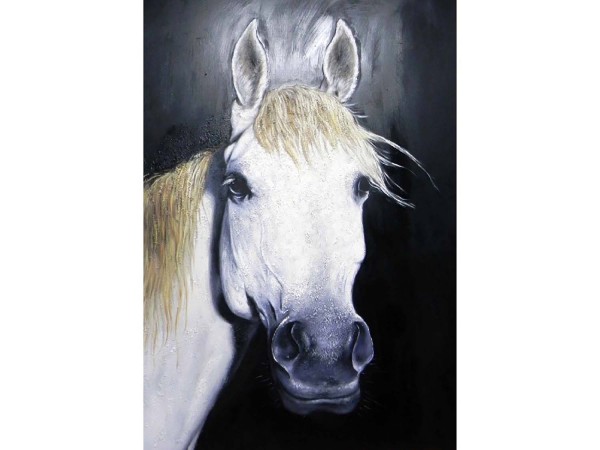 Leinwandbild - Motiv: Weißes Pferd - 150 x 100cm