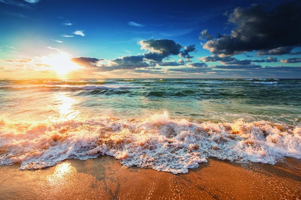 Leinwandbild - Motiv: Strand - 60 x 90cm