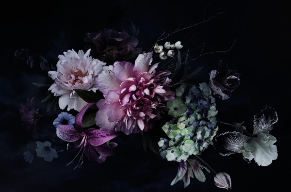 Leinwandbild - Motiv: Blumen - 78 x 118cm