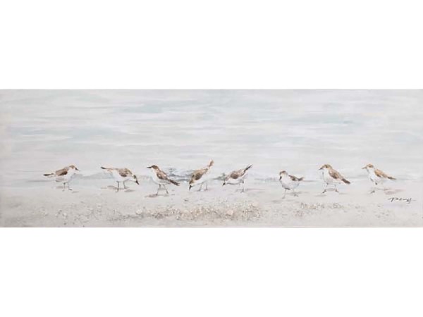 Leinwandbild - Motiv: Vögel am Strand - 50 x 150cm