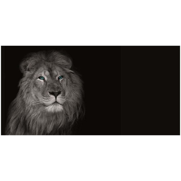 Leinwandbild - Motiv: Löwe - 50 x 100cm