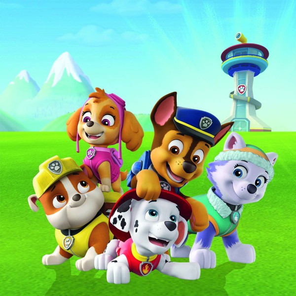 Leinwandbild - Motiv: Paw Patrol - 35 x 35cm